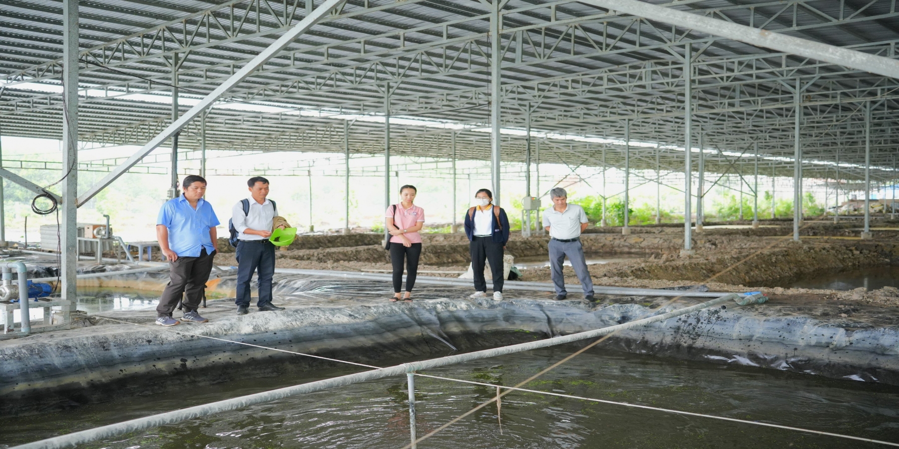 Trường Đại học Kiên Giang tư vấn kỹ thuật nuôi Cá thác lác cườm thương phẩm 